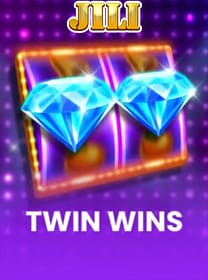 Twin-Wins icon